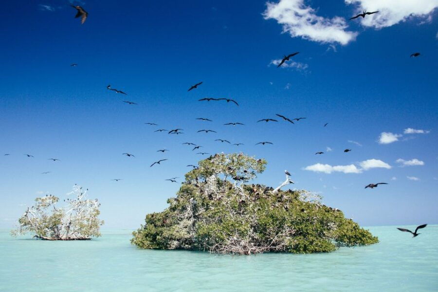 Exclusive Full Day Nature Expedition in Sian Ka'an - Activity Details