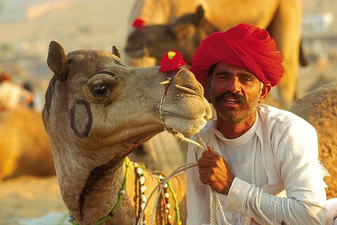 Exclusive: Guided Pushkar Day Trip From Jaipur - Good To Know