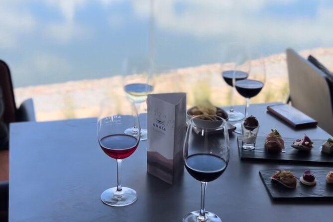 Exclusive Malbec Tour With Gourmet Lunch Included