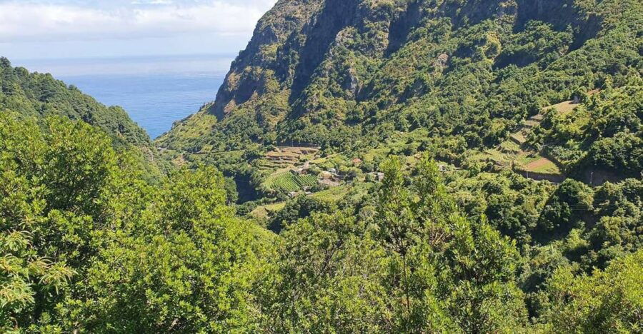 Exclusive Wine Tasting Tour in the Wine Region of Boaventura