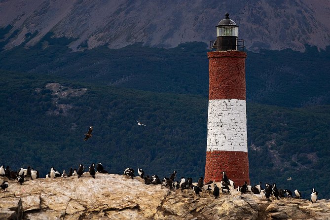 Excursion Through the Beagle Channel in Argentina - Ushuaia