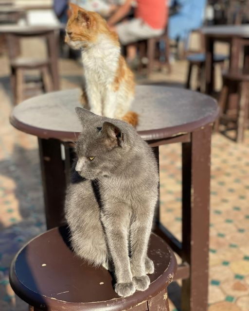 Excursion to Rabat City