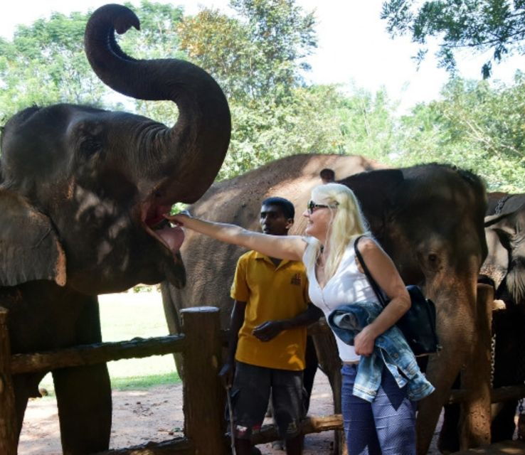 Excursion to the Sacred Tooth Relic in Kandy – Day Tour