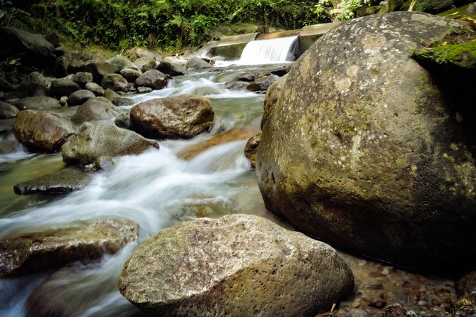 Excursions in the North or in the South of Martinique