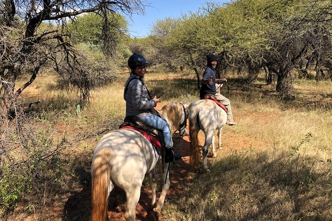 Exhilarating Horseback Safari Departing From Johannesburg - Good To Know