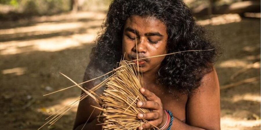 Expedition to an Indigenous Rainforest Haven" - Good To Know