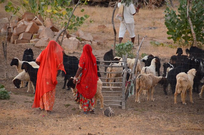 Experience Authentic Desert Villages & Sunset Camel Safari