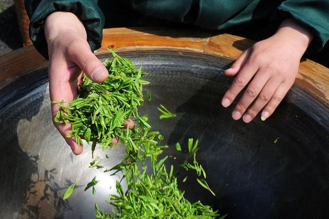 Experience Chengdu: Private Tea-Making Day Tour of Mengdingshan Tea Plantation