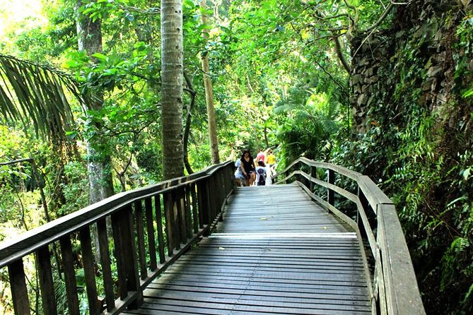 Experience of Ubud Tour With Jungle Swing - Good To Know