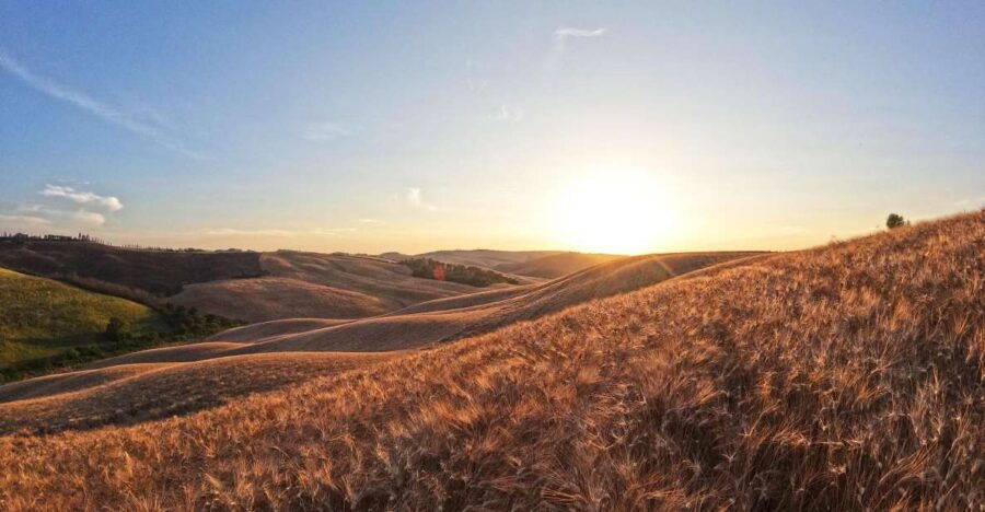 Experience With Birds of Prey in Tuscany - Good To Know
