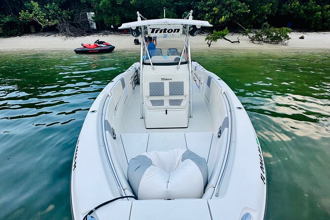 Explore City Skyline, Island and Sandbar Private Miami Boat Tour - Good To Know