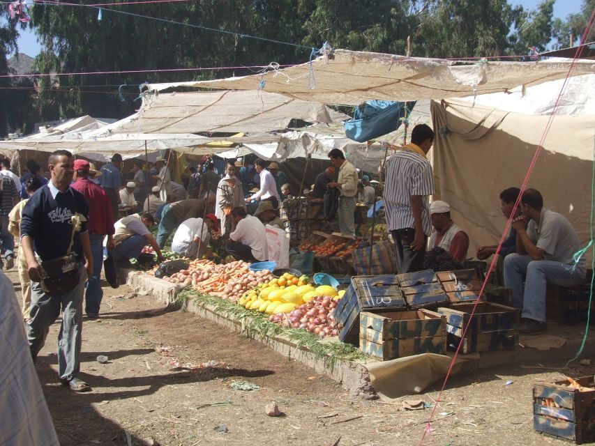 Explore Ourika Valley & Waterfalls