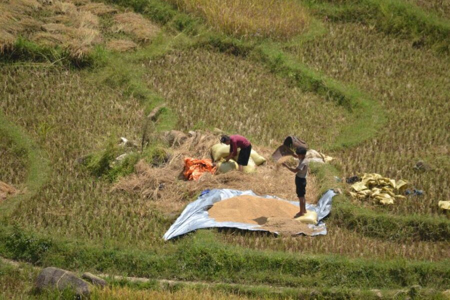 Explore Sa Pa With Overnight Train & Sleeper Bus & Trekking - Good To Know