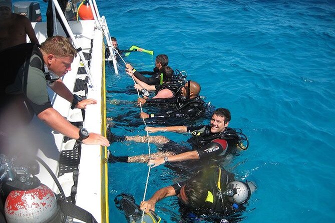 Explore the Coastline of Punta Cana With Our Diving Experience