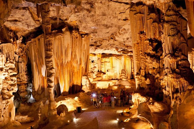 Explore the Garden Route From Port Elizabeth - 4 Days