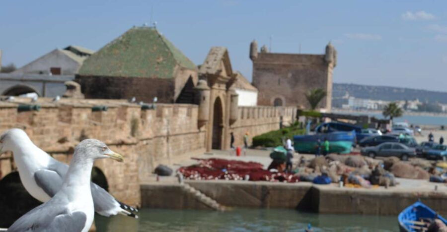 Exploring Essaouira: A One-Day Journey to the Charming Coast