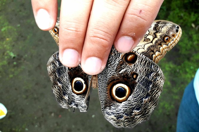 Exploring Ometepe Island: A Traveler's Paradise - Good To Know