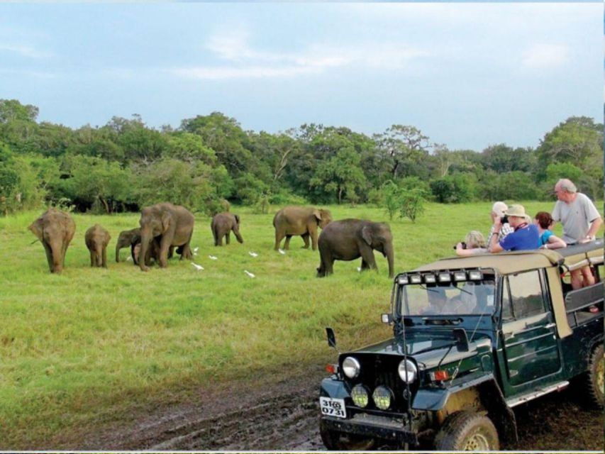 Exploring Udawalawe: Safari and Elephant Transits Home - Good To Know