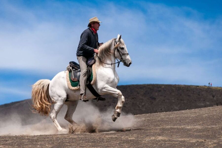 Faial Island: Horseback Riding (3 Hrs – Experienced Riders)