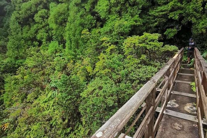 Faial Island Private Levada Hiking Tour (Feb )