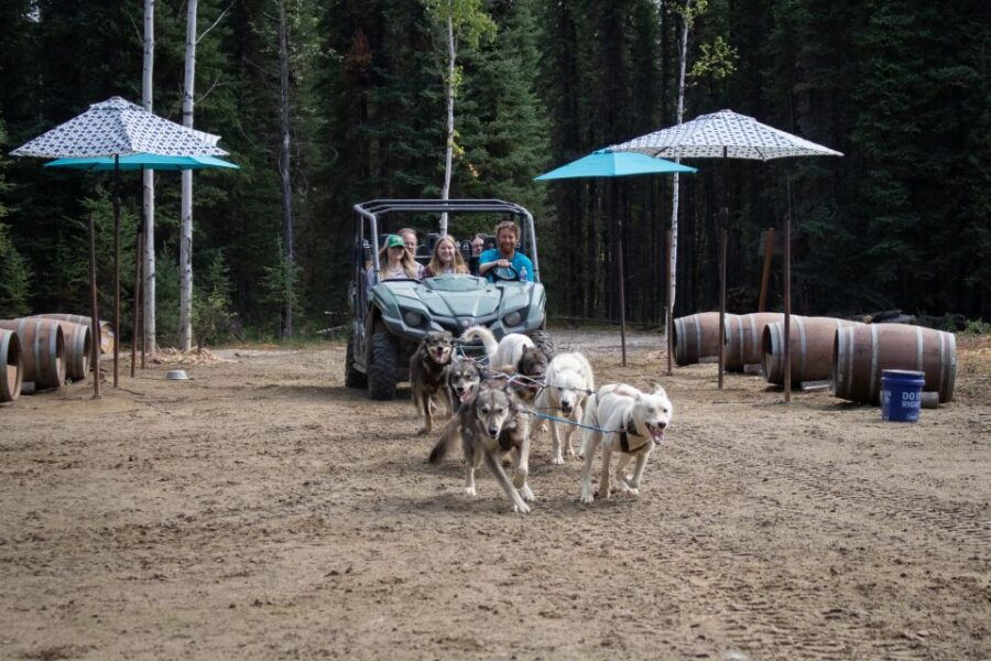 Fairbanks: Summer Mushing Cart Ride and Kennel Tour - Good To Know