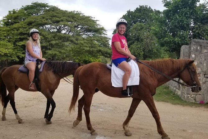 Falmouth Shore Excursion: Braco Stables Horseback Ride and Swim - Good To Know