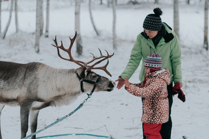 Family Day: Reindeer and Husky by Snowmobile in Levi