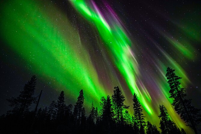 Family-Friendly: Northern Lights Adventure From Rovaniemi - Good To Know