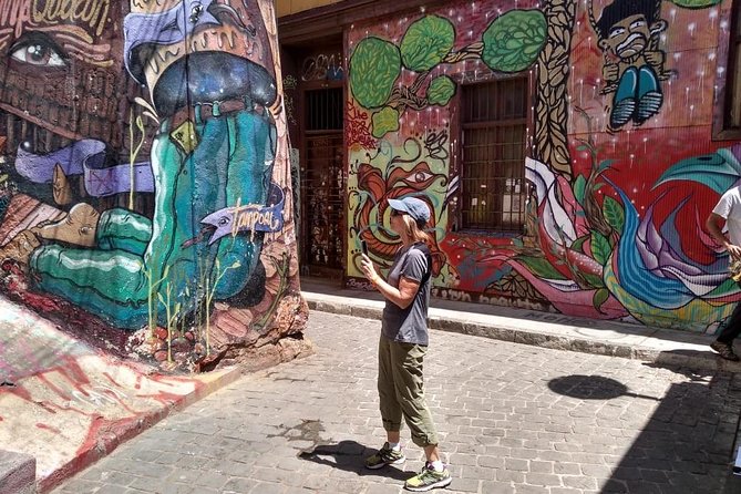 Famous Valparaíso! Premium Walking Tour With a Native Guide - Good To Know