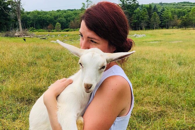2 Best Tours In The Catskills