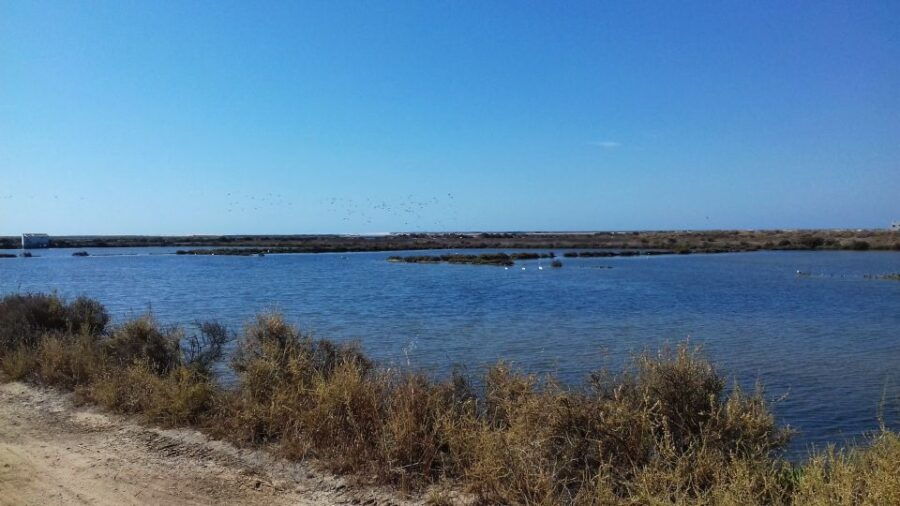 Faro Bike Tour Through the Beautiful Ria Formosa - Good To Know