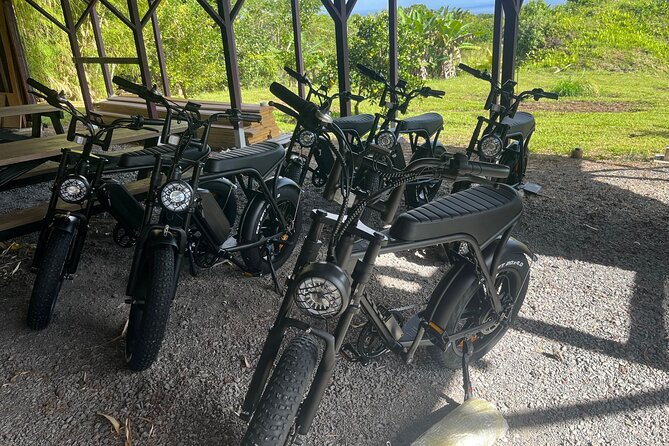 Fat Tire E-Bike Rentals in Pahoa