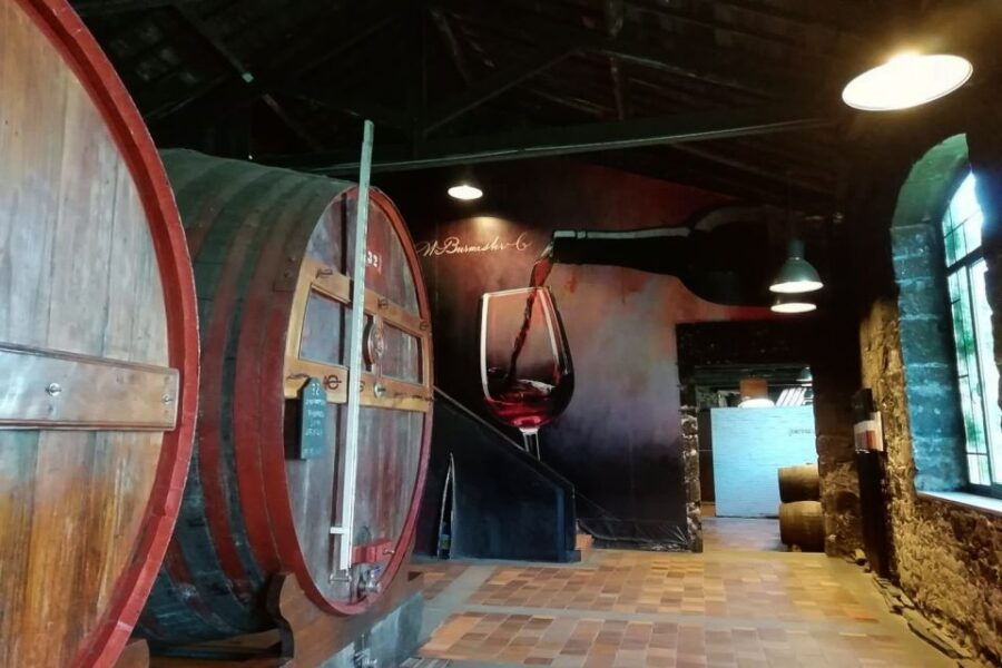 Fátima: Private Porto Tour - Good To Know