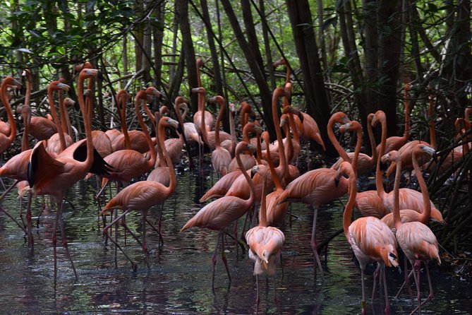 Feathered Delight: National Aviary Unveiled - Good To Know