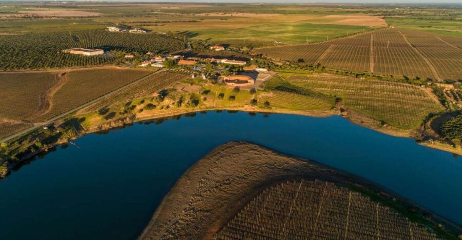 Feeling the Essence of Alentejo - Good To Know