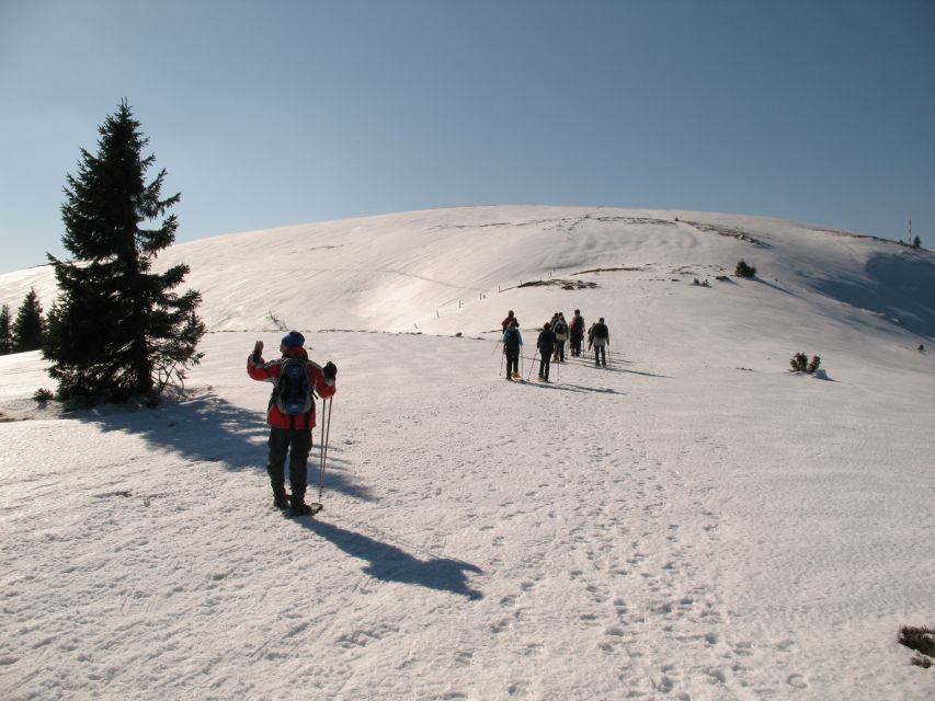 Feldberg: Guided Snowshoeing Tour in the Black Forest - Good To Know