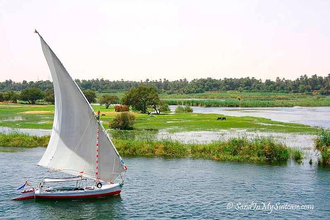 Felucca Ride Sailing on the Nile in Luxor