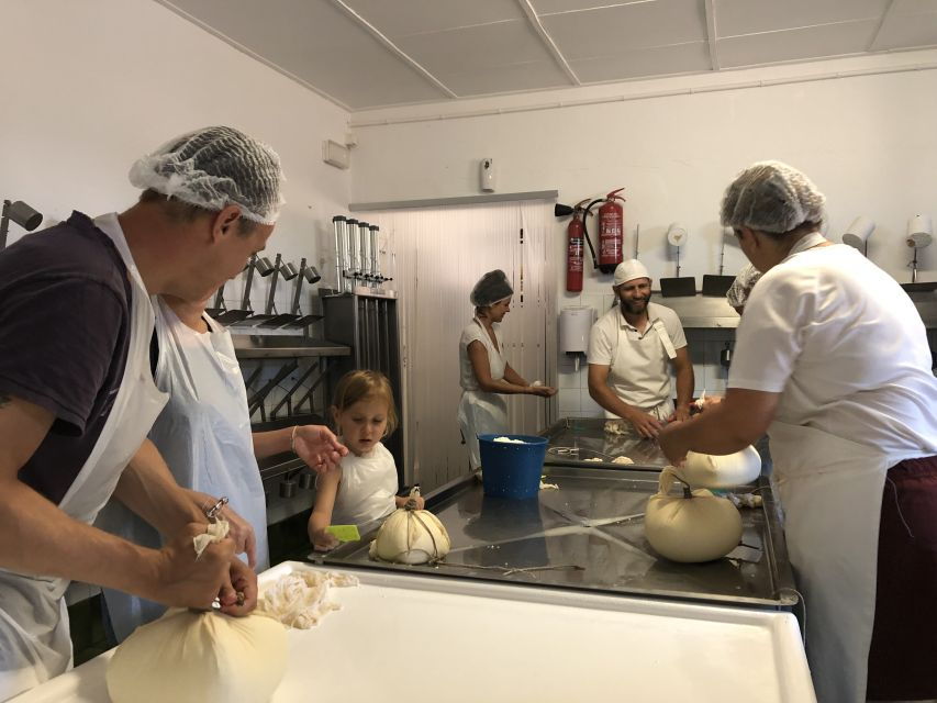 Ferreries: Cheesemaking and Farm-Fresh Product Tasting - Good To Know