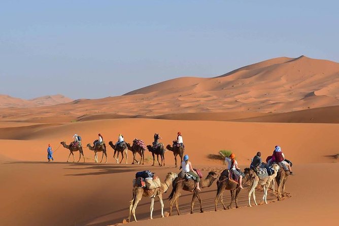 Fes to Fez Desert and Camel Trekking Tour 1 Night 2 Days - Good To Know