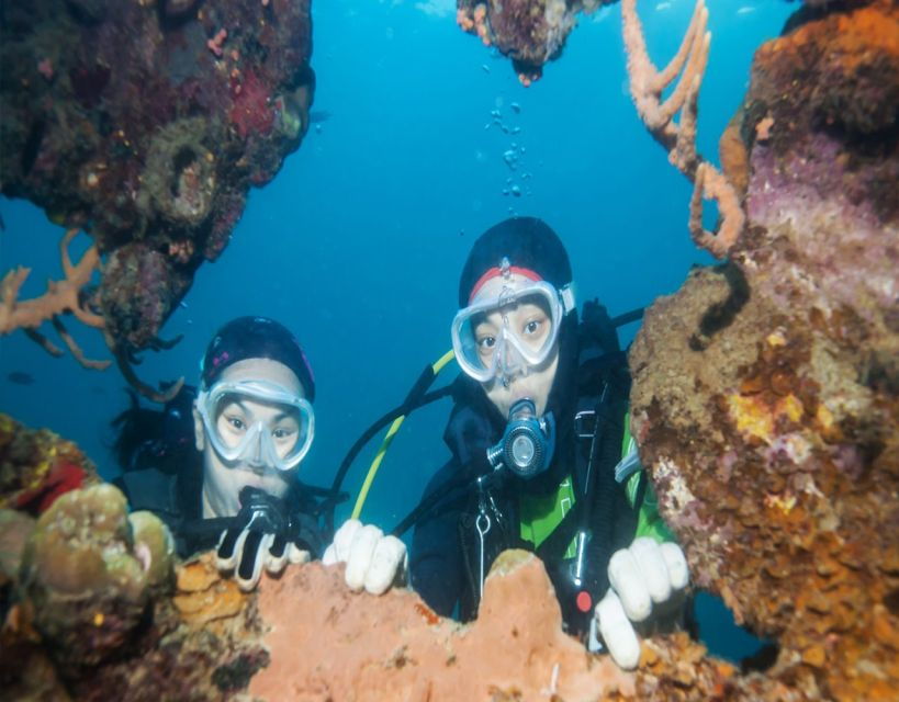 Fethiye: 2 Guided Scuba Dives With Lunch and Hotel Transfers - Good To Know