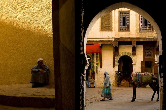 Fez in One Day Sightseeing Tour - Itinerary Overview