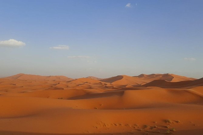 Fez to Sahara Desert Tour 3 Days 2 Nights - Good To Know