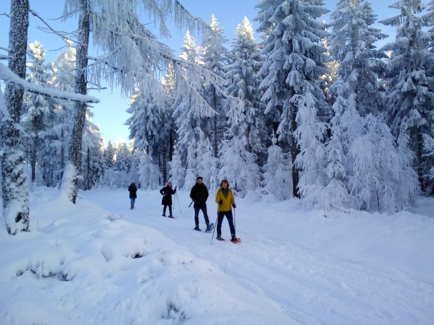 Fichtelgebirge: Snowshoe Hike
