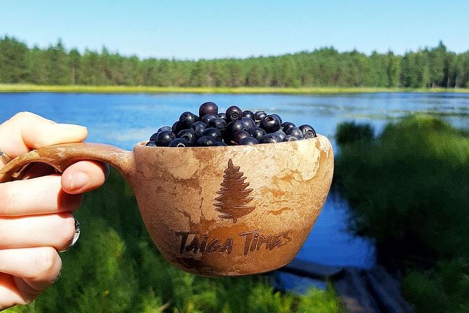 Finland Liesjarvi National Park Wild Berry Foraging Adventure  – Helsinki