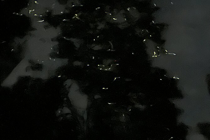 Firefly Watching by Kayak in Abatan River - Kayaking Experience on Abatan River