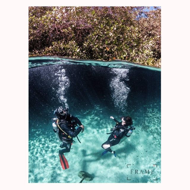 First Scuba Diving Experience in a Cenote - Good To Know