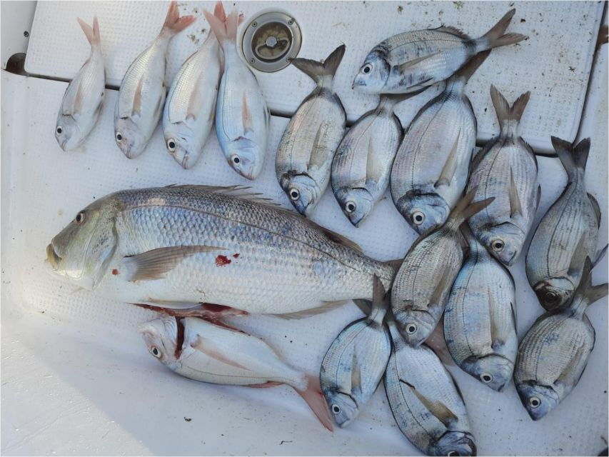 FISHING DEPARTURE BY PRIVATE BOAT