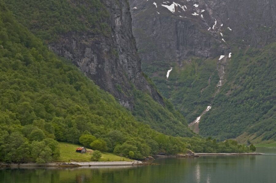 Fjords: Private Trip With Train and Cruise Ride