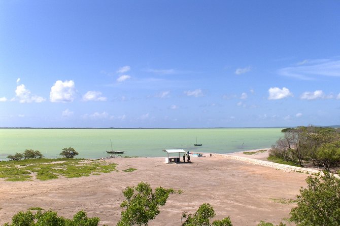 Flamingo Island – Laguna Oviedo
