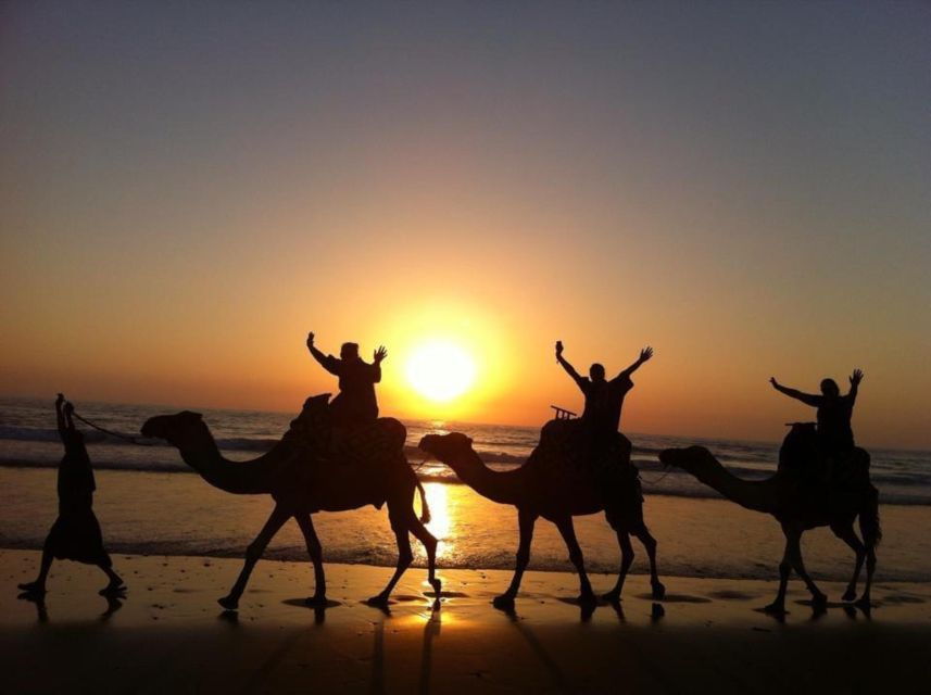 Flamingo River Sunset Camel Ride With BBQ Dinner & Transfer